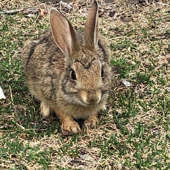 Meet your Posher, Aubrey - Picture 1 of 1